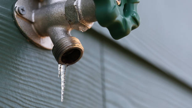 Best Leak Detection Services  in New Baden, IL